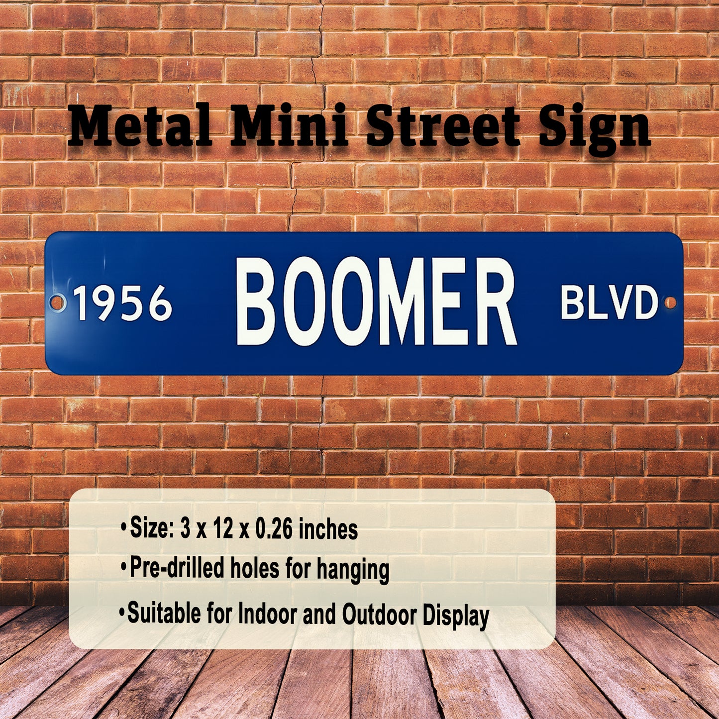 Custom Year Boomer Blvd Mini Street Sign